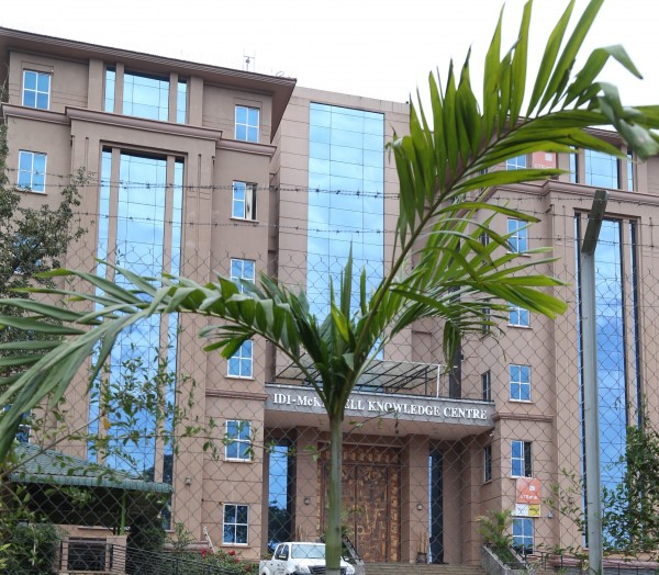 Areca catechu photo 2